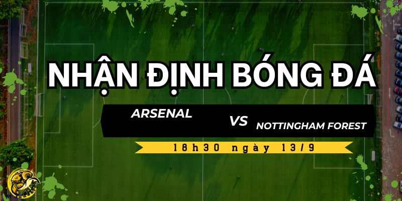 Dự đoán từ chuyên gia Socolive TV